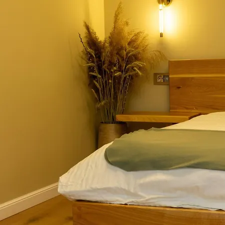 Ophir * Kluż-Napoka