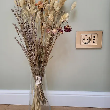 Ophir * Kluż-Napoka