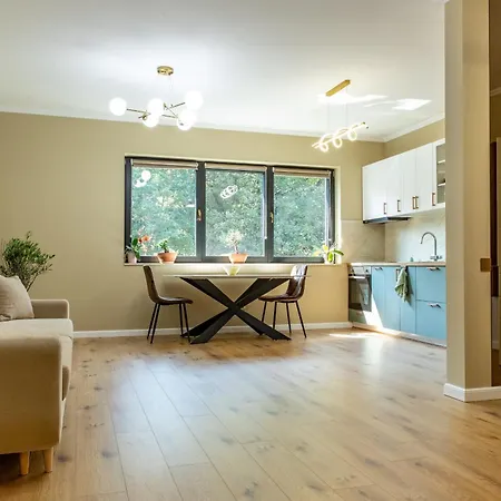 Ophir Клуж-Напока