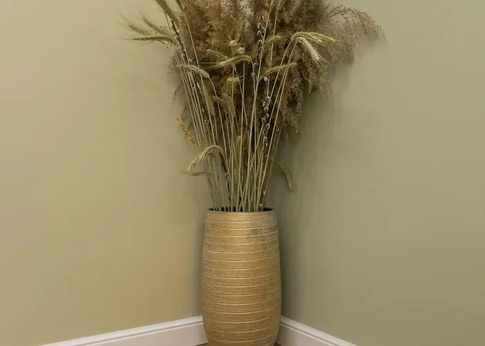 Ophir Клуж-Напока