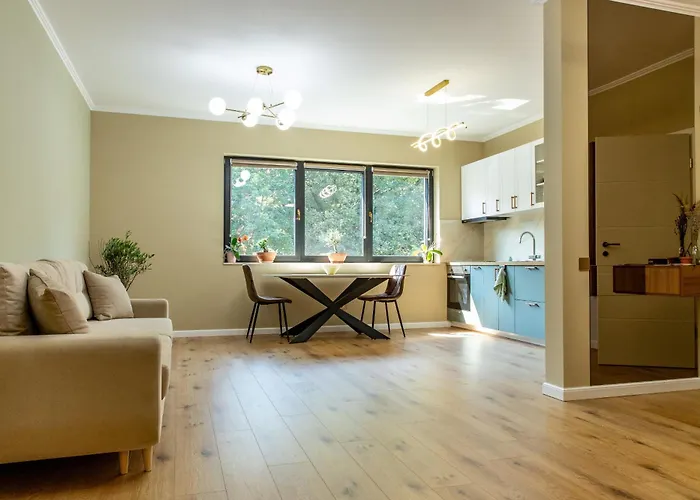 Ophir Клуж-Напока